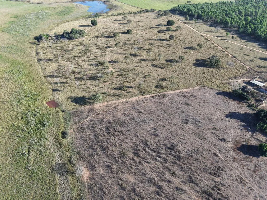 Imagem Fazenda à Venda em Papagaios/MG ? 150 Hectares