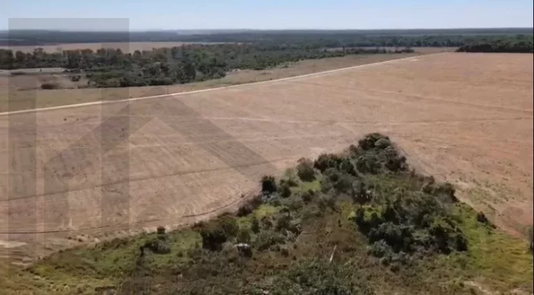 Imagem CASAL IMÓVEIS VENDE FAZENDA SOJA EM NOVA CANAÃ 2.200 HECTARES
