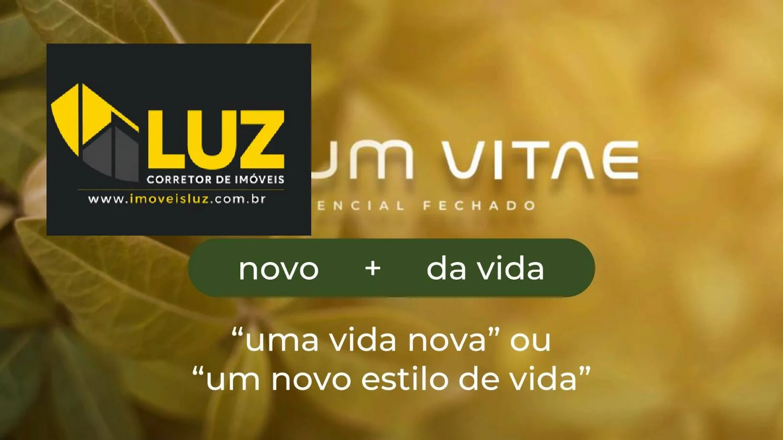 Imagem Novum Vitae - Um novo estilo de vida começa aqui