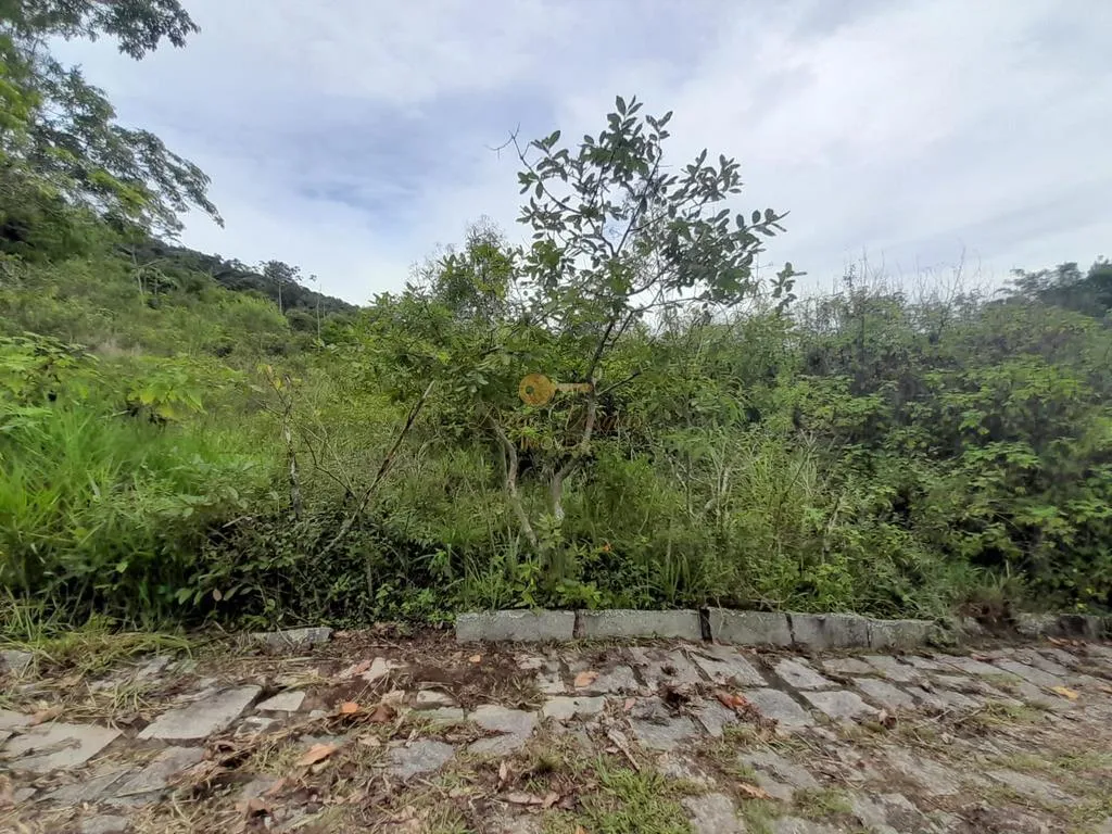 Imagem Terreno para Venda em Teresópolis / RJ no bairro Colônia Alpina