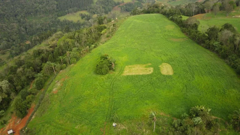 Imagem Área Agrícola para Venda em Arabuta, Rural
