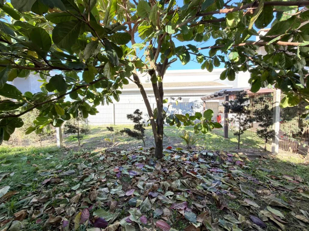 Imagem Casa 2 Dormitórios - Bairro Araçá