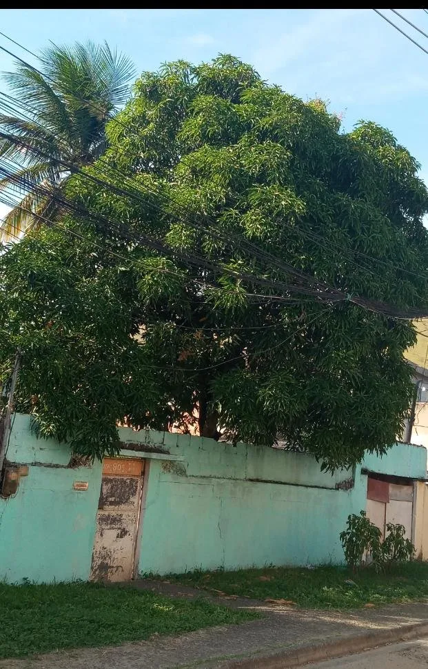Imagem Casa a Venda no bairro Jardim Palmares - Nova Iguaçu, RJ