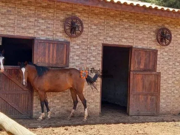 Imagem Chácara com 4 dormitórios à venda, 5664 m² por R$ 1.300.000,00 - Portal São Marcelo - Bragança Paulista/SP