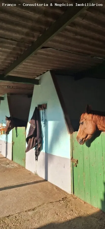 Imagem Haras para Locação em São Bernardo do Campo, Balneária