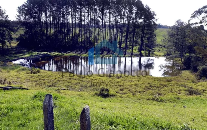 Imagem Lotes à venda no Condomínio Lago dos Pássaros