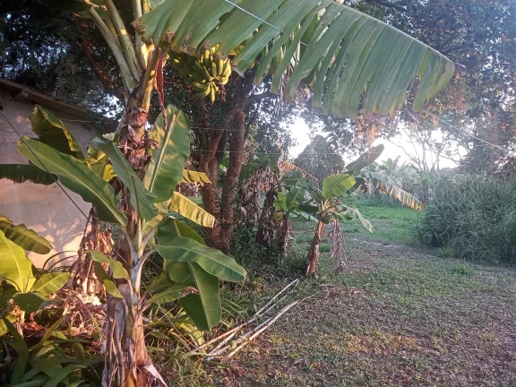 Imagem Belo sitio!!! com 2.400m², Casa e Piscina, condomínio fechado, Águas Claras