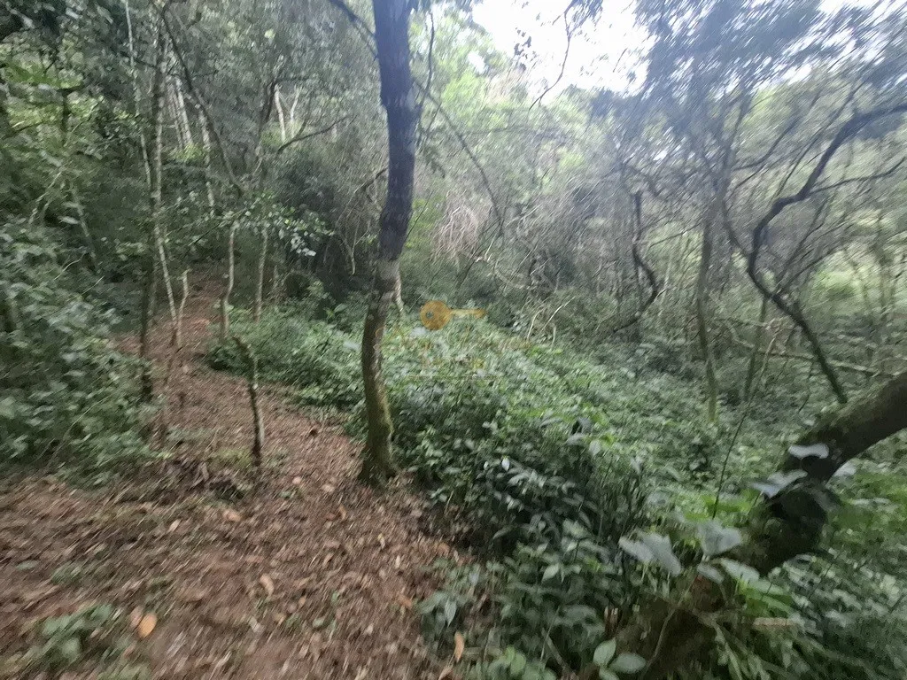 Imagem Terreno para Venda em Teresópolis / RJ no bairro Córrego das Pedras