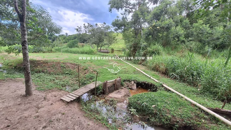 Imagem Sítio 20mil m² Documentado 4 Lagos Pomar Formado Morungaba/SP