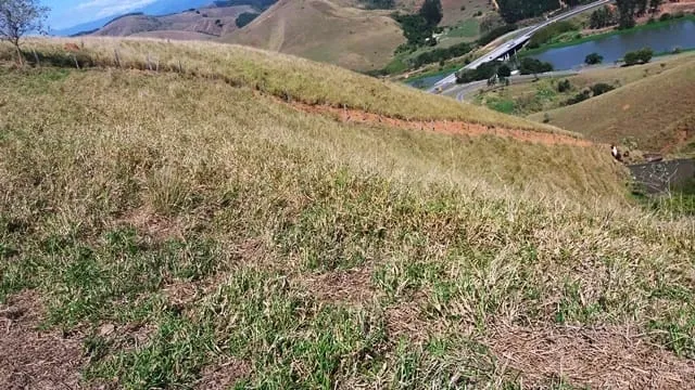Imagem Chácara à venda Zona Rural, Lavrinhas - SP