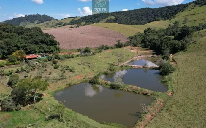 Imagem Chácara de Luxo nos Cardosos - Socorro, SP: Seu Refúgio de Sonho na Natureza
