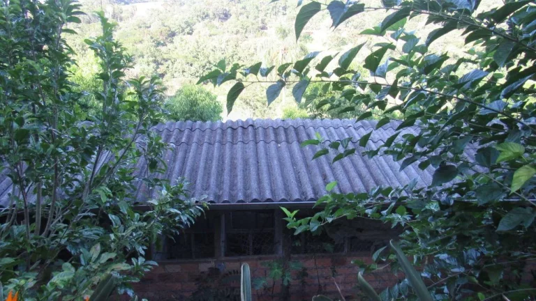 Imagem Sítio / Chácara para Venda em Concórdia, Rural, 3 dormitórios, 1 banheiro