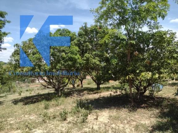 Imagem CHACARA RURAL em ENGENHEIRO COELHO - SP, ÁREA RURAL DE ENGENHEIRO COELHO