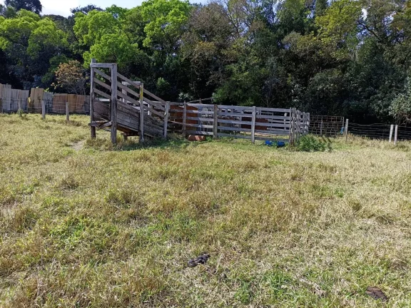 Imagem Sitio com água abundante - OPORTUNIDADE no Interior de São Paulo