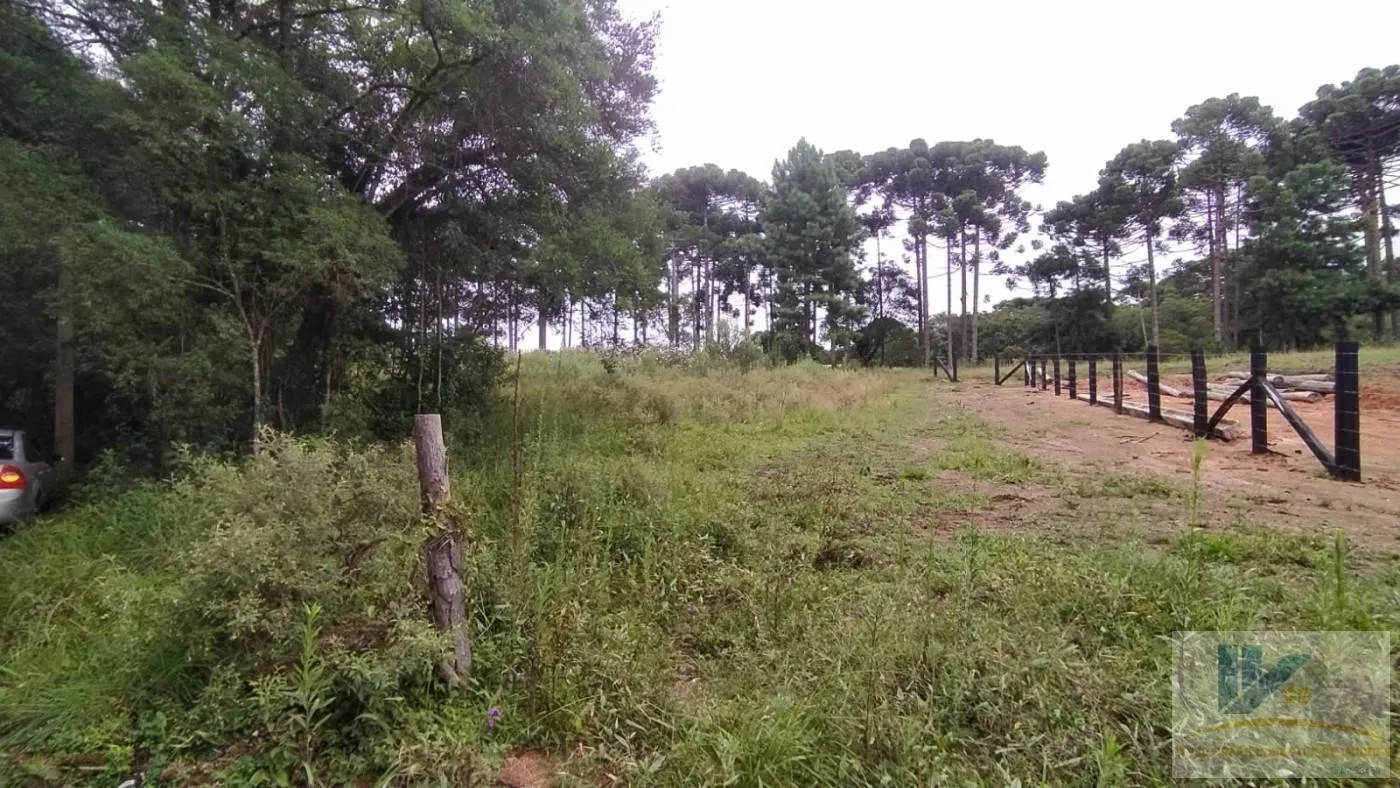 Imagem Terreno para Venda em São José dos Pinhais, Contenda