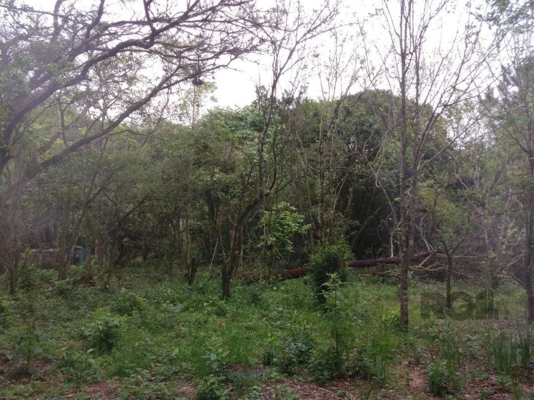 Imagem Área 4,69ha | Bairro Belém Velho