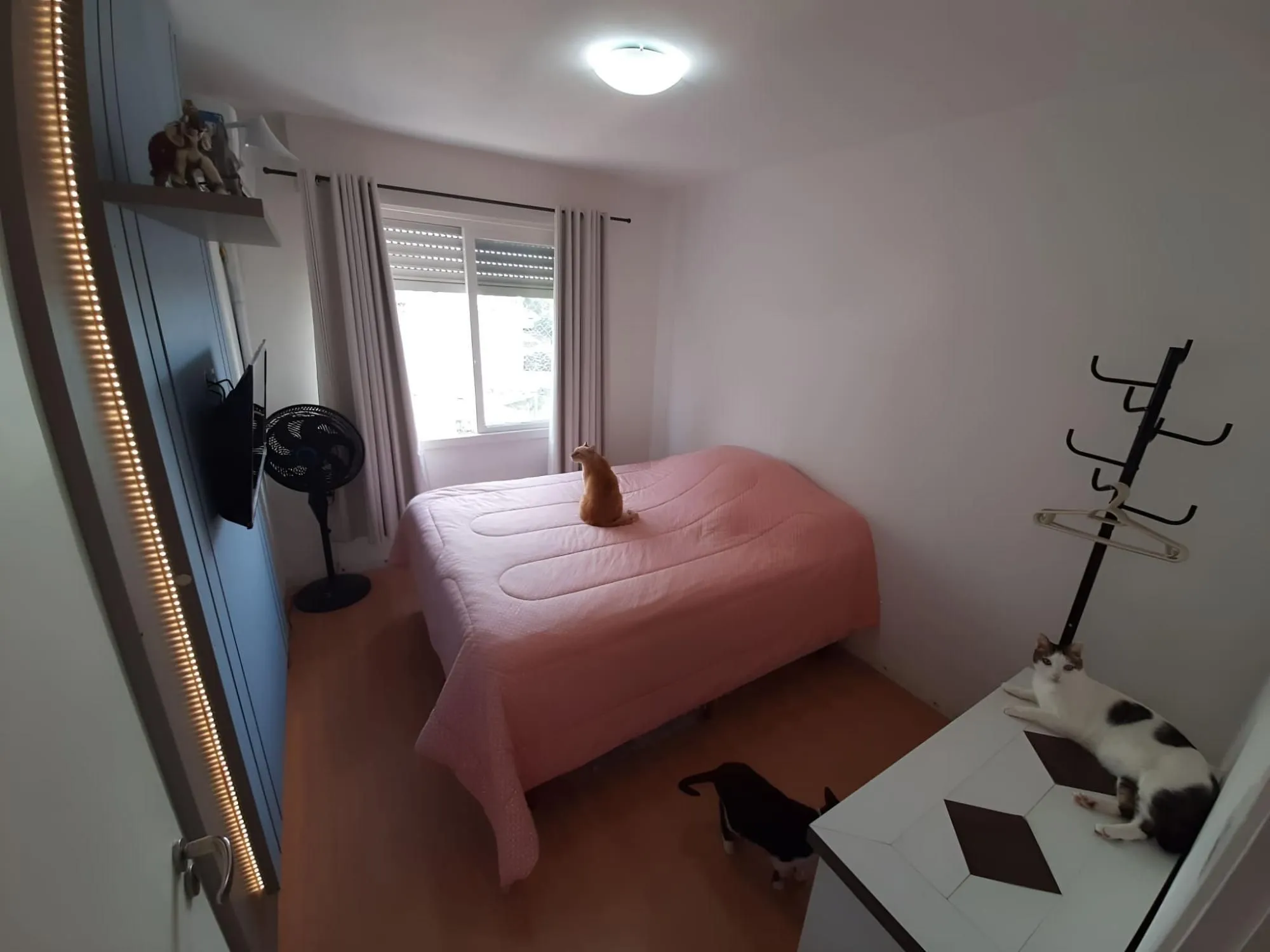 Imagem Cobertura de 104m² com 2 dormitórios no Bairro Nonoai - Porto Alegre