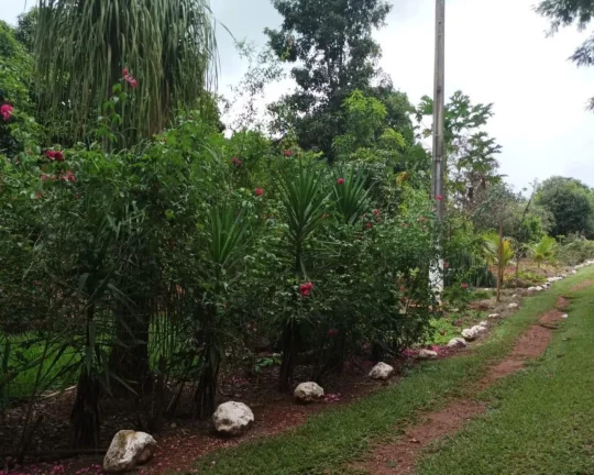 Imagem (PERMUTA) Chácara a venda em Sertanópolis -PR
