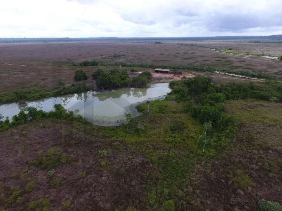 Imagem CASAL IMÓVEIS VENDE FAZENDA EM PARAGOMINAS 700 ALQUEIRES
