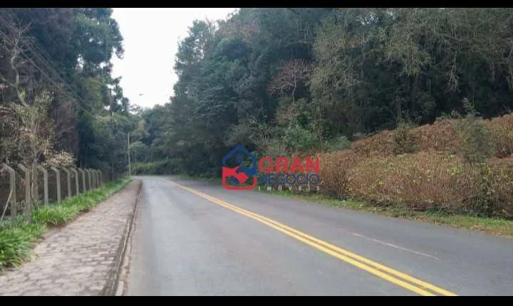 Imagem Oportunidade Exclusiva para Investidores - Campo Largo/PR