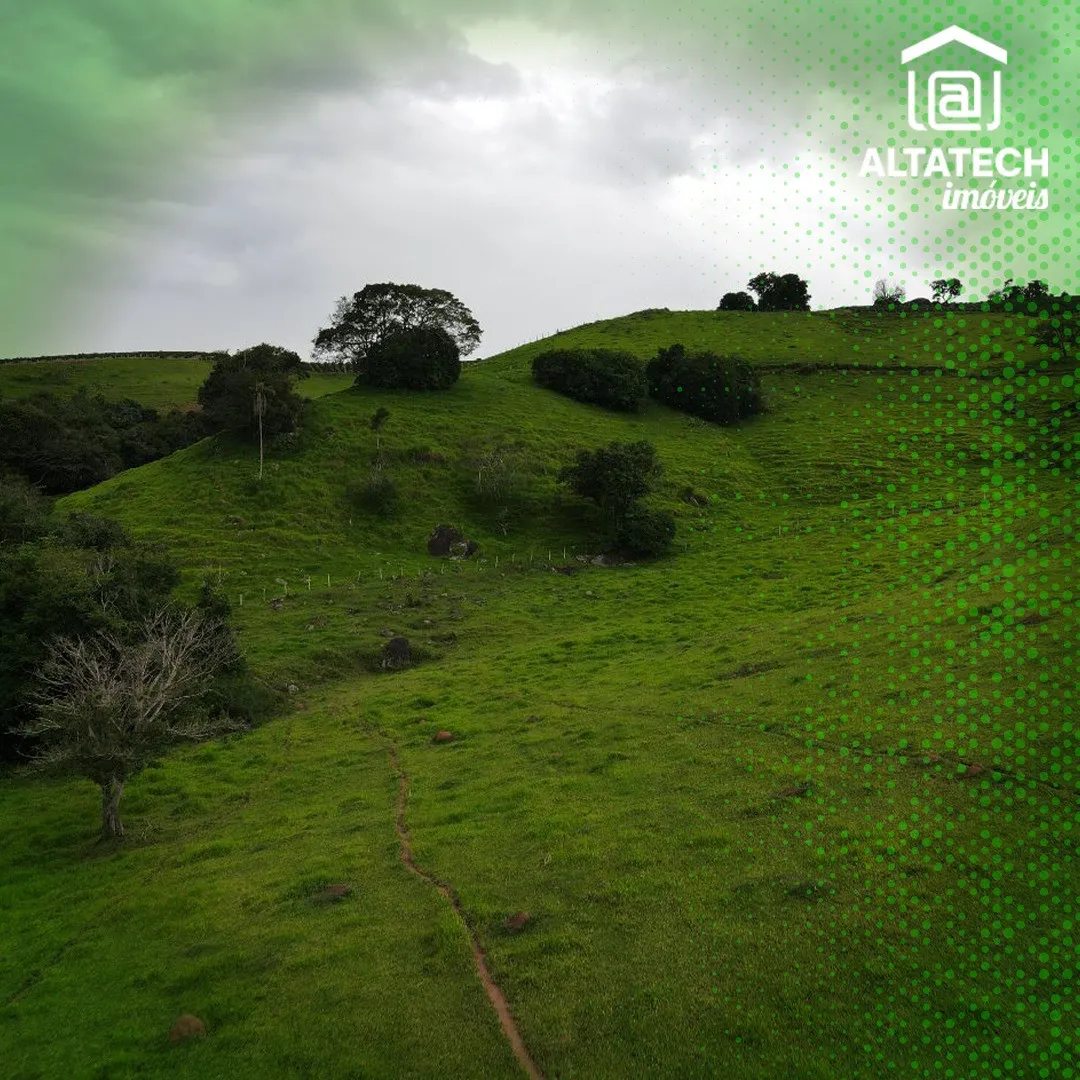 Imagem Sítio 150.000 m² à venda em Roseira, Bandeira do Sul