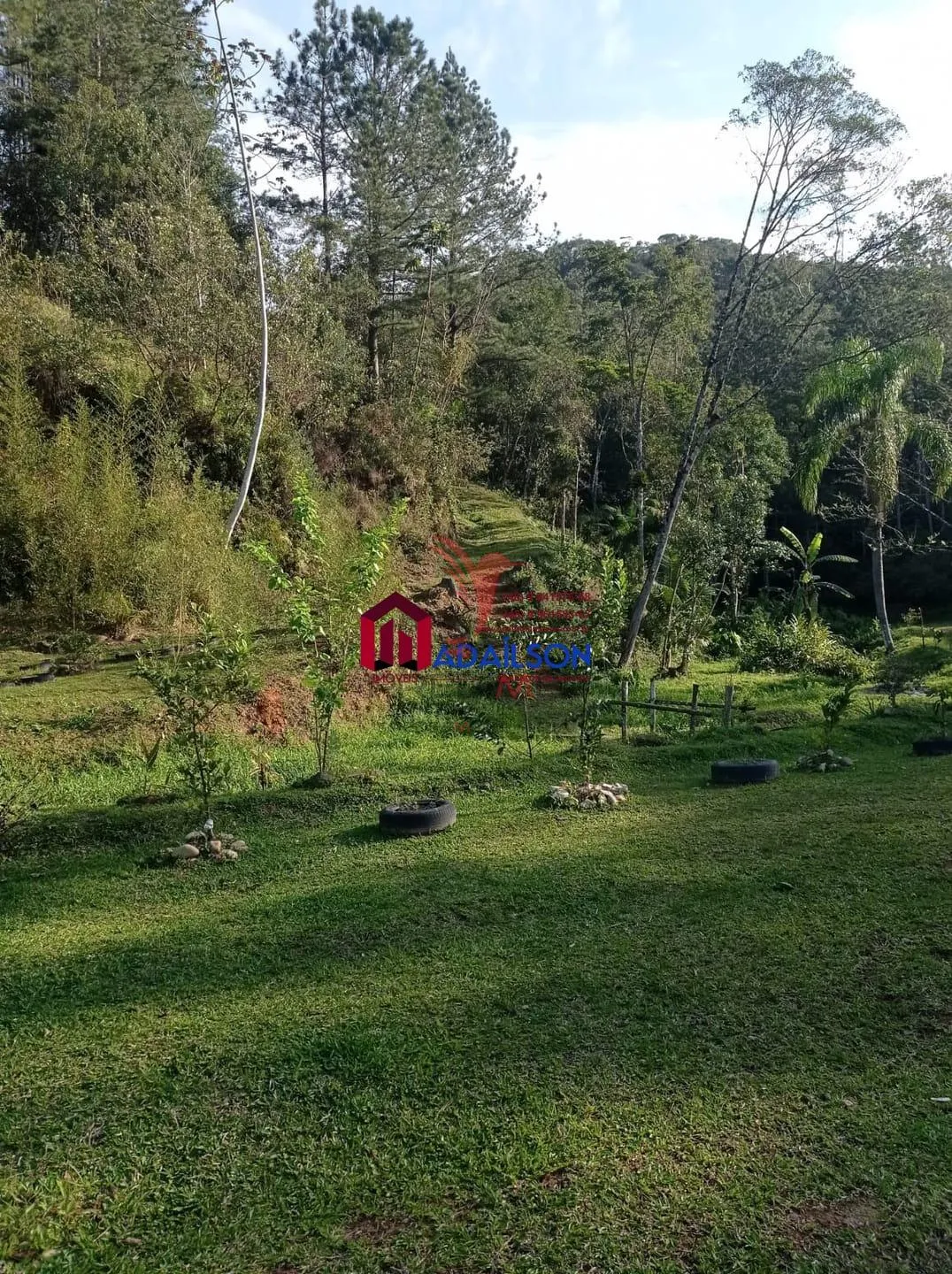 Imagem CHÁCARA A VENDA UM ÓTIMO INVESTIMENTO PARA INVESTIDORES LAJEADO ALTO, GUABIRUBA SC