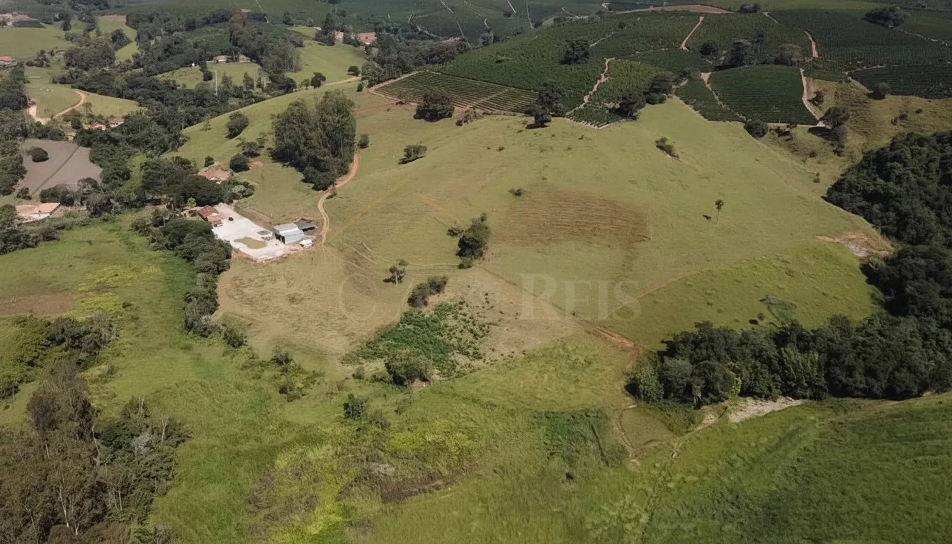 Imagem Sítio 5,4 ha à venda em Sertãozinho, Botelhos