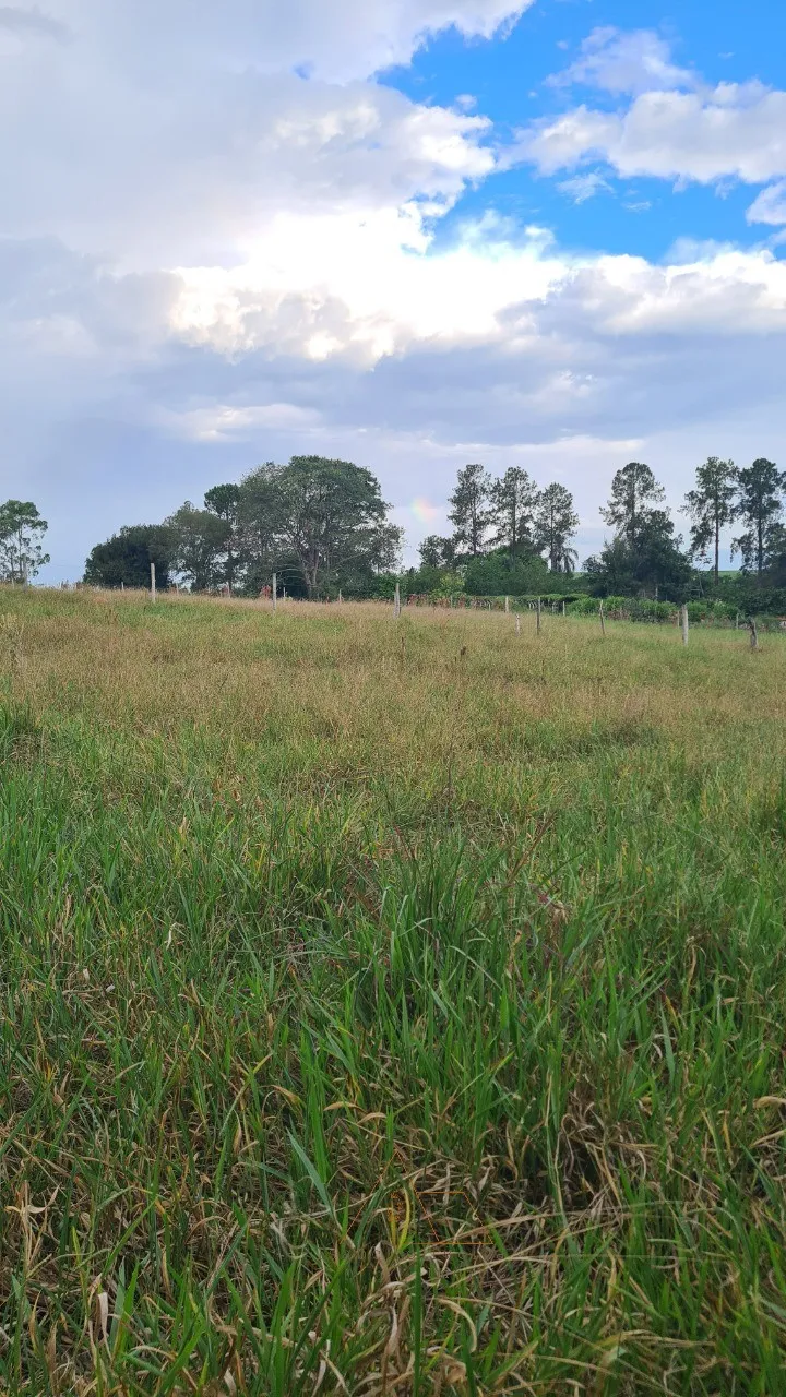 Foto do imóvel: Terreno à venda em Cesário Lange-SP,: 5.334,00 m² de área disponíveis!