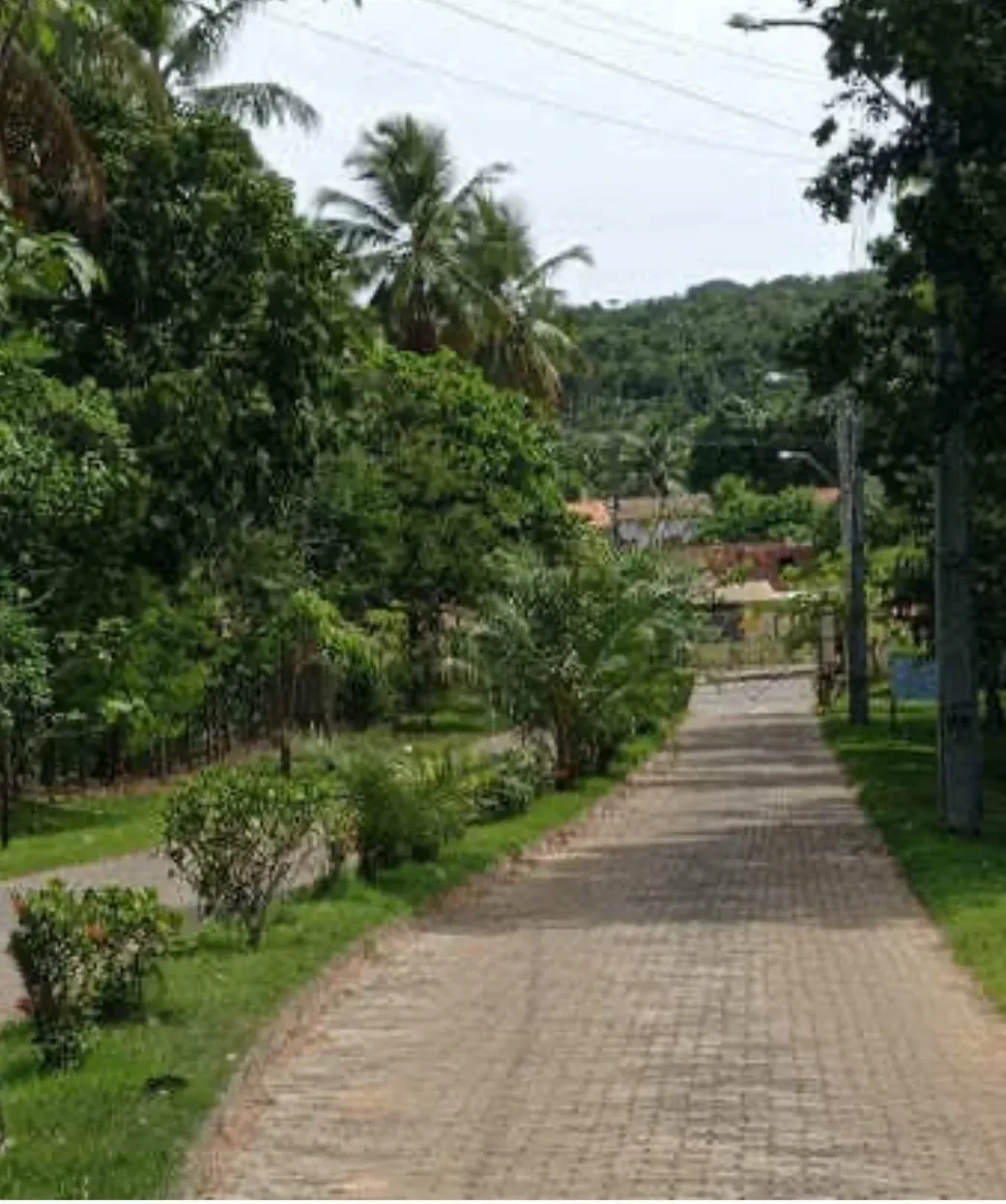 Imagem Terreno à Venda, 250 metros em Mata de São João - Mata de São João