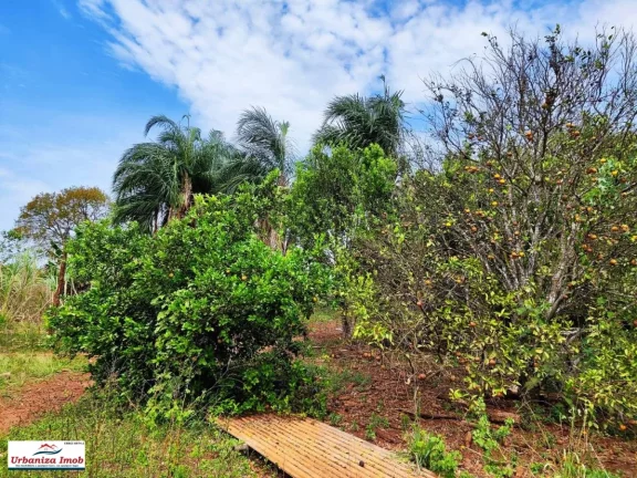 Imagem Chácara à venda em Bandeirantes, 10 Hectares e casa com 2 quartos, 42,00m2