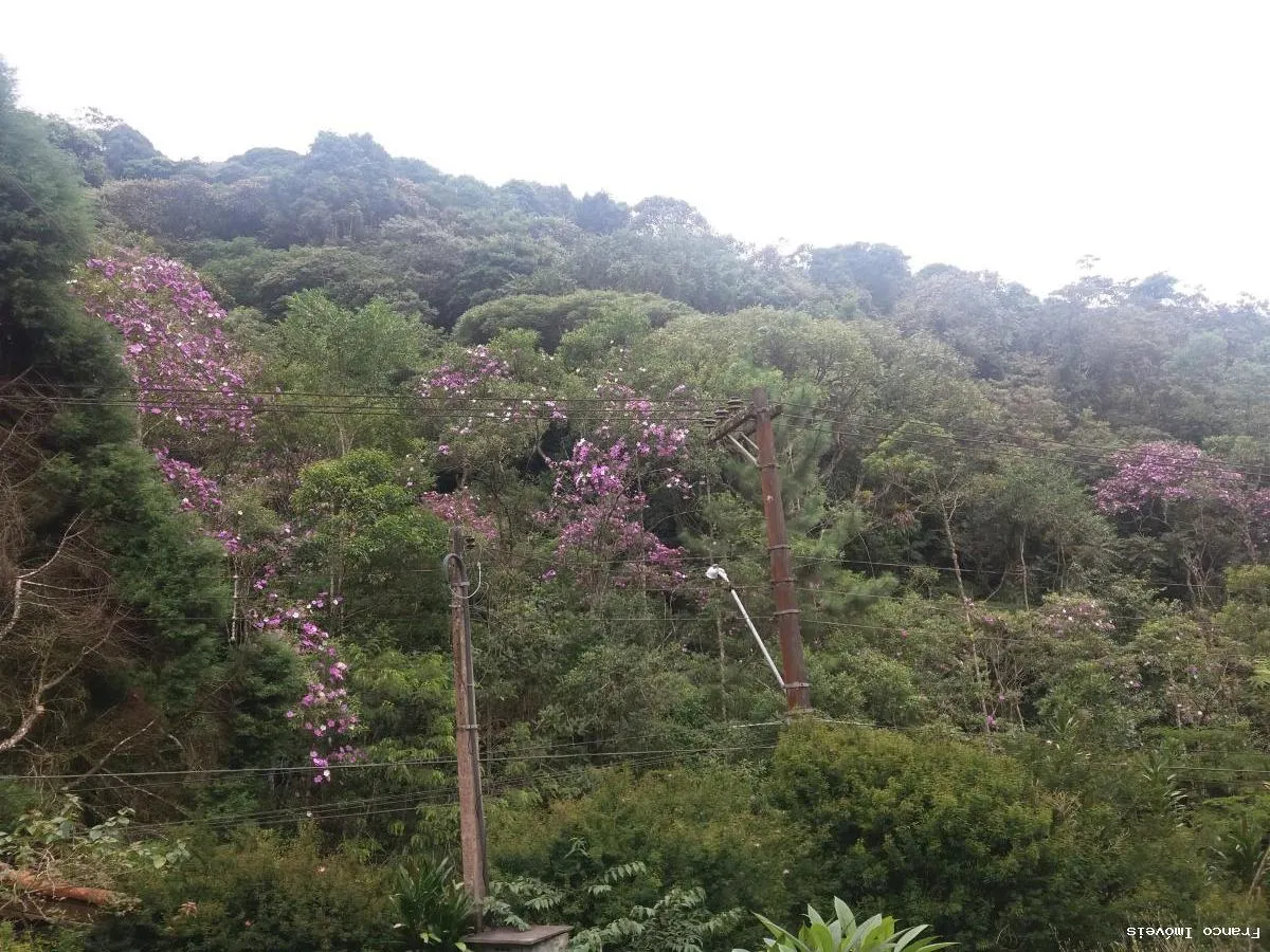 Imagem Sítio para Venda em Ribeirão Pires, Somma, 3 dormitórios, 1 suíte, 2 banheiros, 10 vagas