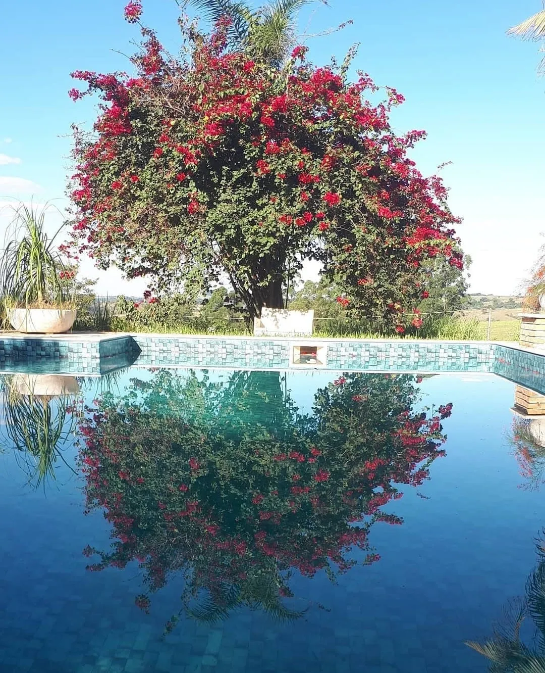 Imagem Chácara Dona Terra em Porangaba/SP ? Imóvel com Área Gourmet, Piscina e Pasto