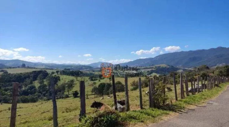 Foto do imóvel Terreno à venda, 1000 m² por R$ 279.000,00 - Centro - Vargem/SP