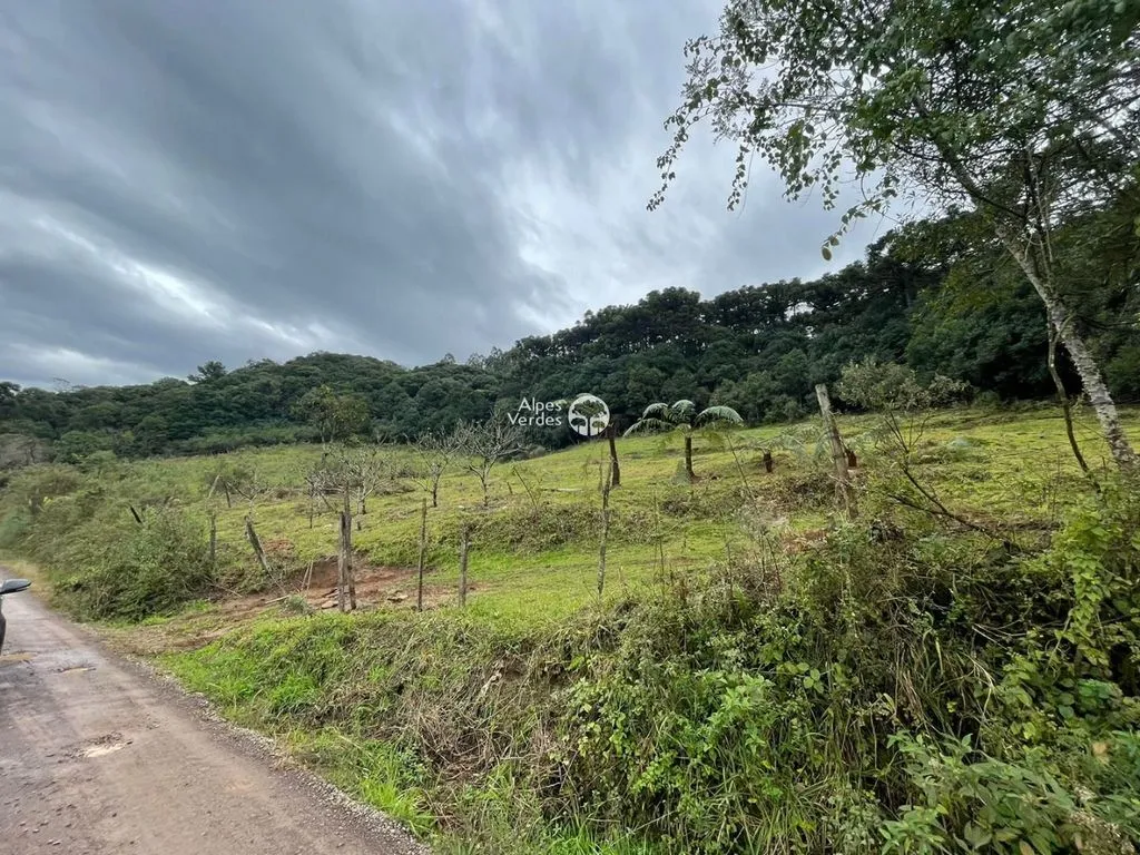 Imagem Terreno à venda, 20000 m2 por R$ 890.000 - Esplanada - Caxias do Sul/RS