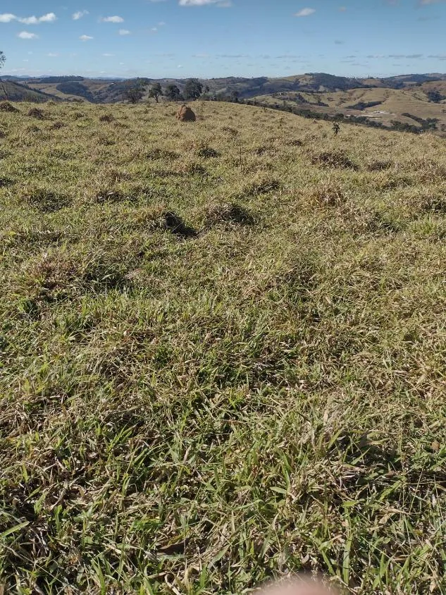 Imagem Vendo terreno em Crucilândia com 48 hectares de terra