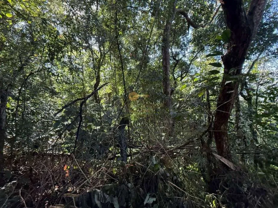Imagem Terreno em Condomínio para Venda em Guapimirim / RJ no bairro Limoeiro