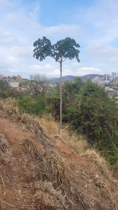 Imagem O melhor preço de Lote na região com 23m² de frente.