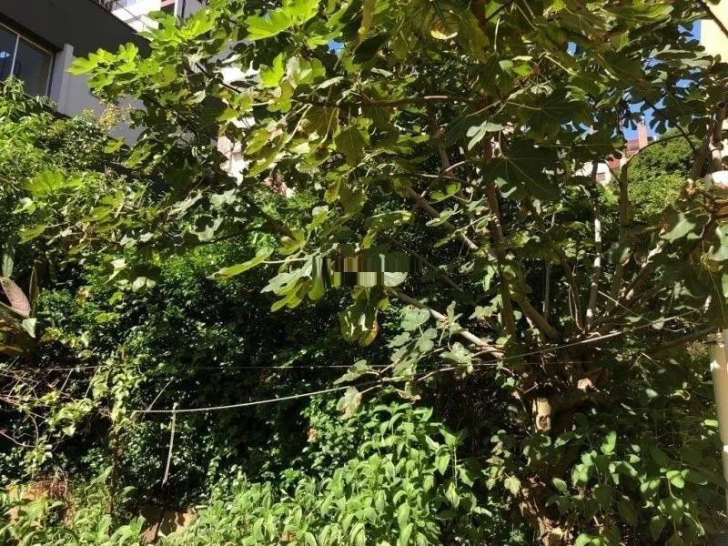 Imagem Terreno amplo com 8,80m²x63,50m² de área total, excelente localização no Bairro Petrópolis