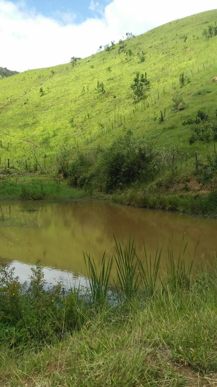 Imagem Chácara à venda 3 Quartos, 36000M², Zona Rural, Cunha - SP
