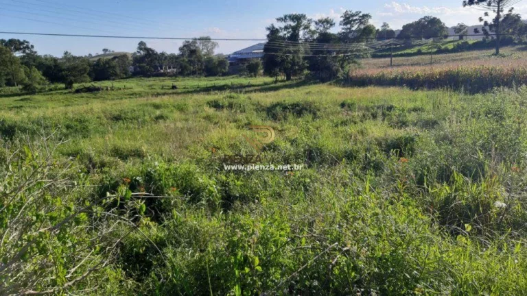 Imagem Terreno para Venda em Concórdia, Interior