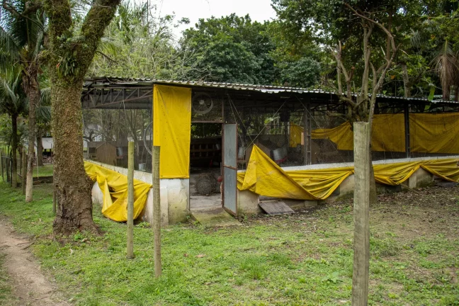 Imagem SITIO RESIDENCIAL em RIO DE JANEIRO - RJ, GUARATIBA