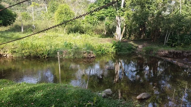 Imagem Chácara à venda 3 Quartos, 4 Vagas, 10000M², Ribeirão Grande, Pindamonhangaba - SP