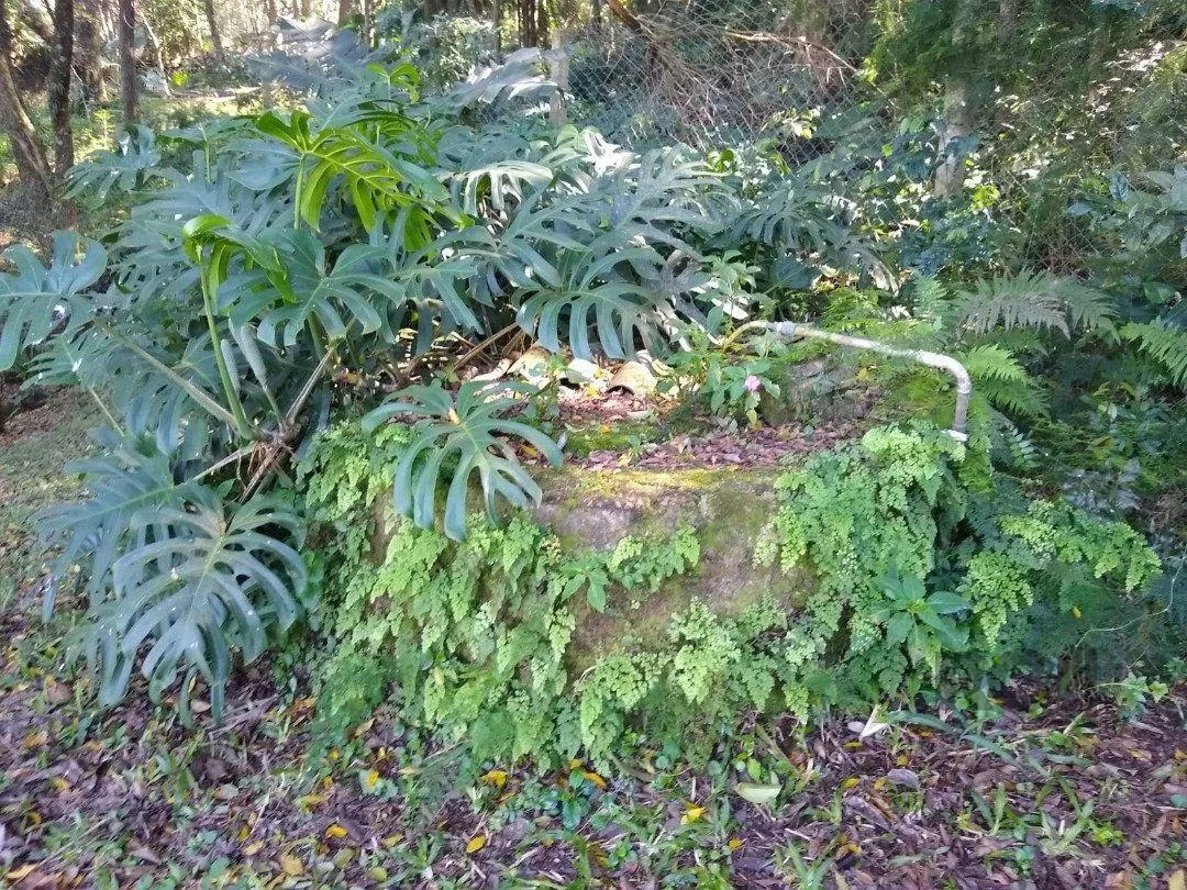 Imagem Terreno em Cascata