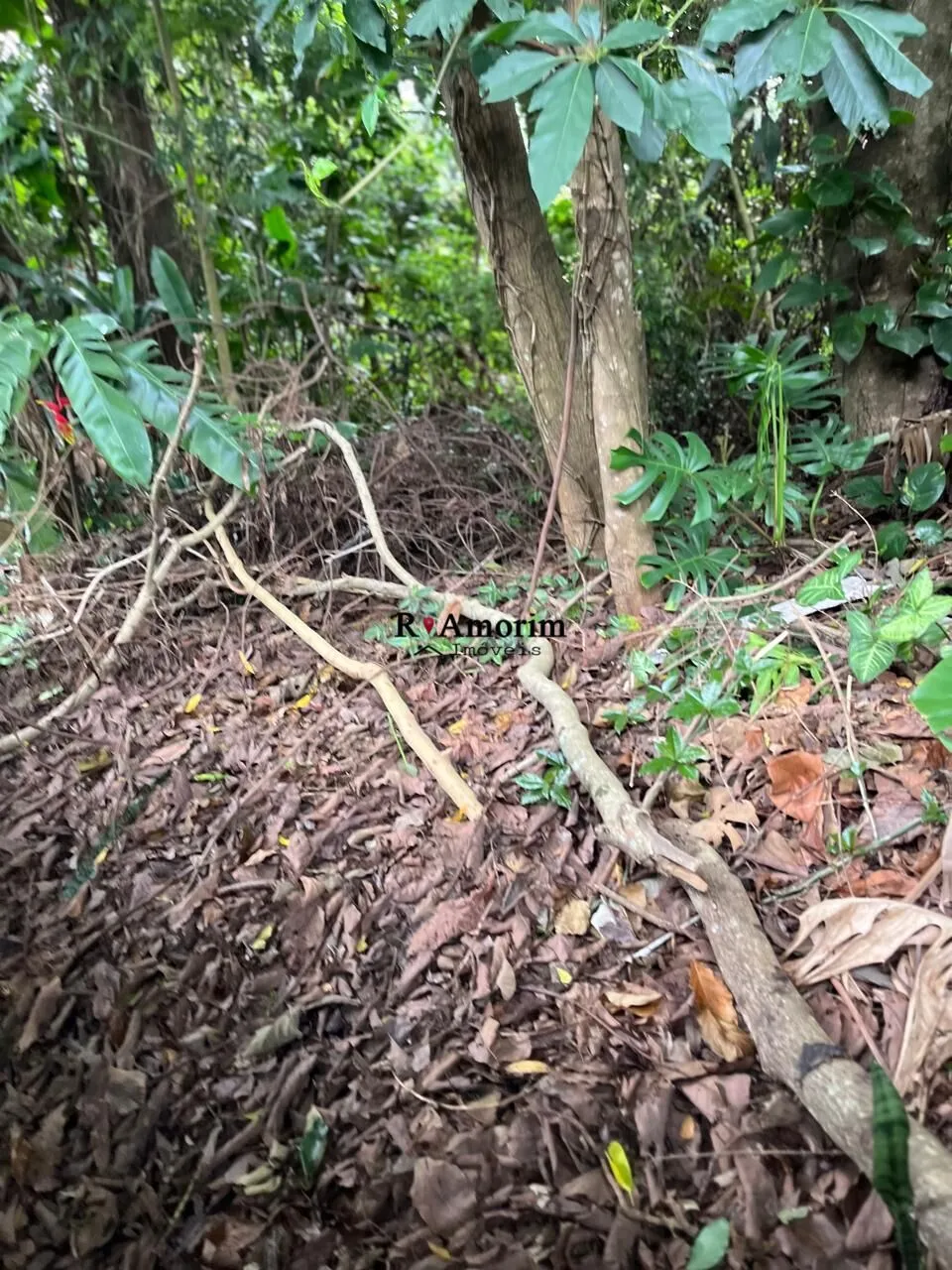 Imagem São Fernando Residência - Terreno a venda no Condominio São Fernando Residência em Barueri/SP com 787 metros
