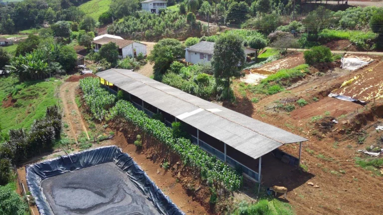 Imagem Área Agrícola para Venda em Arabuta, Rodovia