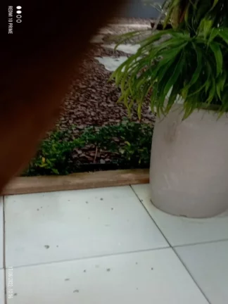Imagem CASA RESIDENCIAL em MANAUS - AM, TARUMÃ