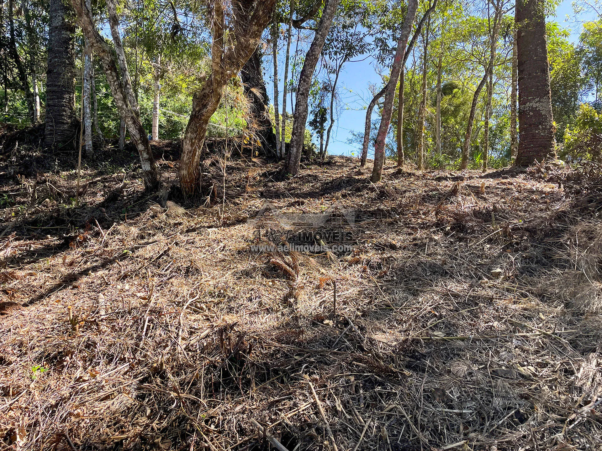 Imagem Terreno à venda em Campos do Jordão - Excelente opção para investimento