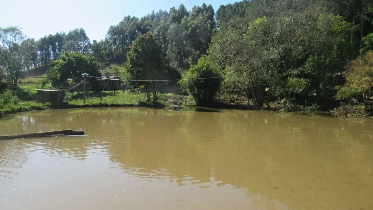 Imagem Casa para Venda em Lindóia do Sul, Centro, 1 dormitório, 1 banheiro