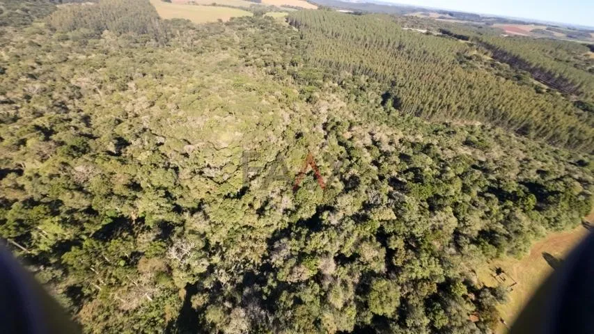 Imagem Sítio à venda com excelentes 24,62ha de área em Guarpuava PR