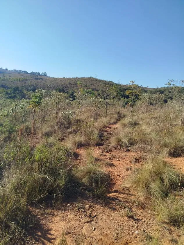 Imagem Vendo uma excelente fazenda em Oliveira / MG 100 hectares de área total;